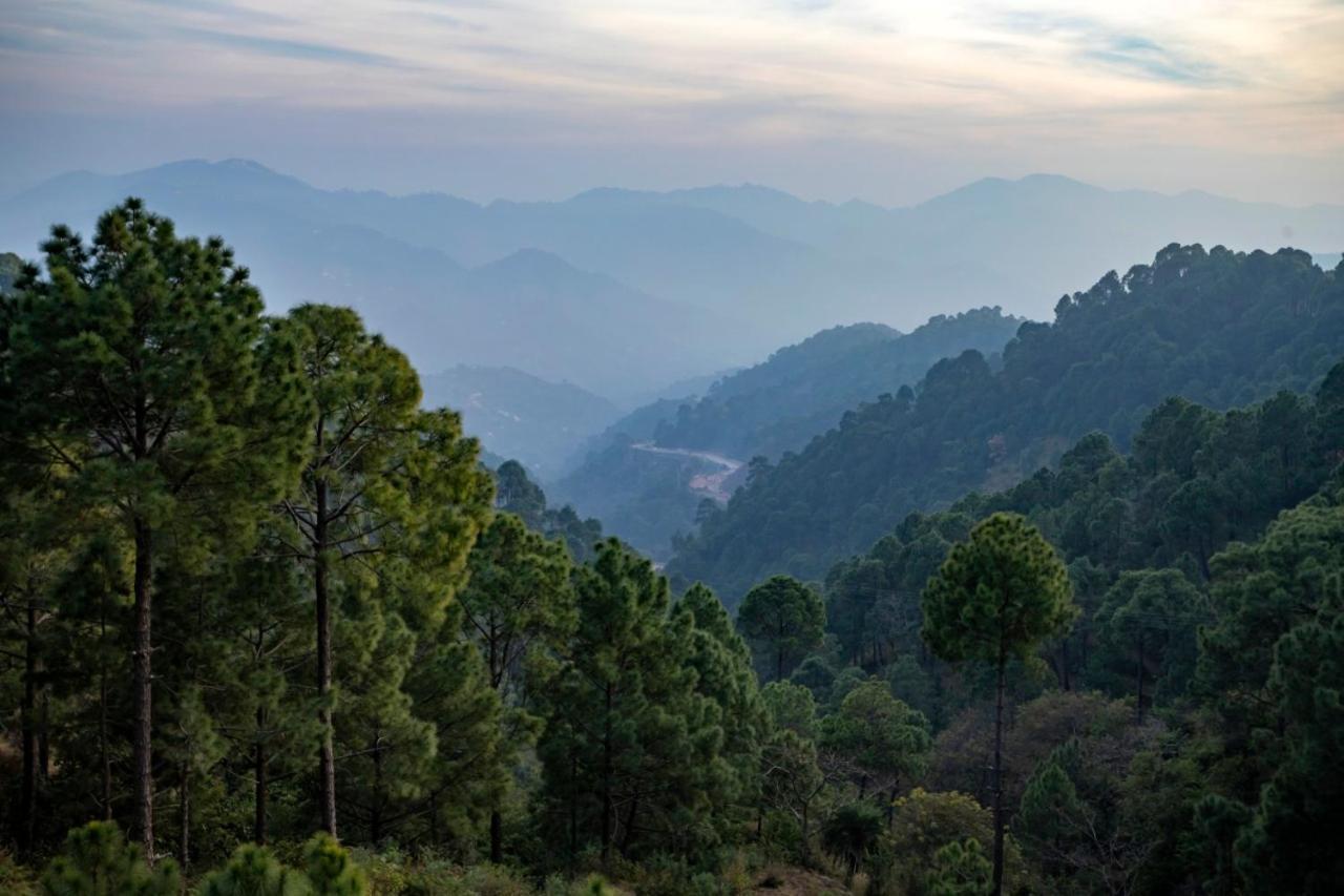 Kanda Road 4 Apartment Kasauli Exterior photo