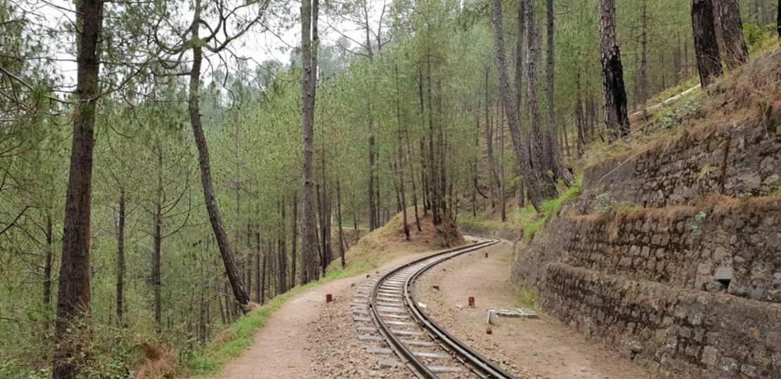 Kanda Road 4 Apartment Kasauli Exterior photo